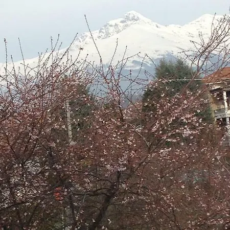 A Casa Di Antonella アパート ビエッラ